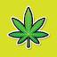 cannabisworld.biz