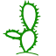 careercactus.com