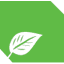 flygreen.de