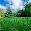 futurelawn.ca