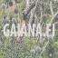 gaiana.fi