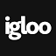 igloovision.com