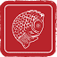 poissonrougepictures.com