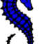 seehorsevideo.com
