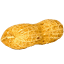 sonuts.com