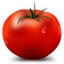 tomato.org.cn