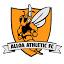 alloaathletic.co.uk