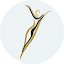 billingsplasticsurgery.com