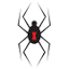 blackwidowpro.com