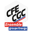 cfecgc-orange.org