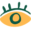 displayheadsmedia.com