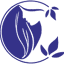 exircenterclinic.com