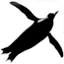 flyingpenguin.com