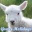 gowerholidays.com
