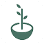 littleseedcounseling.com