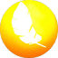 nativemovement.org