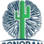 sonoranspores.com