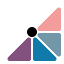 theseerinstitute.org