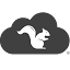 airsquirrels.com