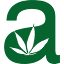 amsterdammarijuanaseeds.com