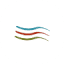 cafedelmarfll.com
