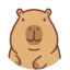 capylinko.com