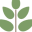 ccfhl.com