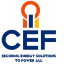 cefgroup.co.za
