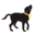 dogs4diabetics.com