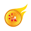dollarhub.us