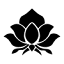 drkeagle.com
