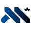 metsoc.org