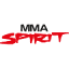 mmaspiritshop.com