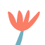 rezac.dev