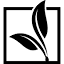 theseedcollection.com.au