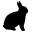 toodlebunny.com