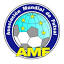 amfutsal.org