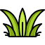 aquariumplants.com