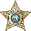 brevardsheriff.com