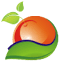 frutaleslaslajas.com