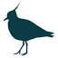 hdns.org.uk