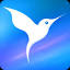 livesurf.ru