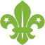 scoutsengidsenbeerse.be