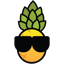 shootzhawaiian.com