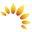 sunflowerbeauty.com.hk