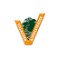 villacher-alpenstrasse.at
