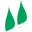 zyvite.com