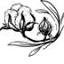antiquefarmhouse.com