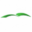 baccva.org