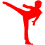 bruceleestory.fr